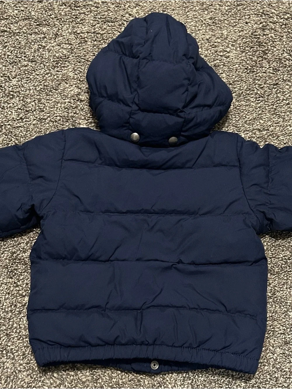 Polo by Ralph Lauren Navy Puffer Jacket with Green Hood Lining- Size 3T